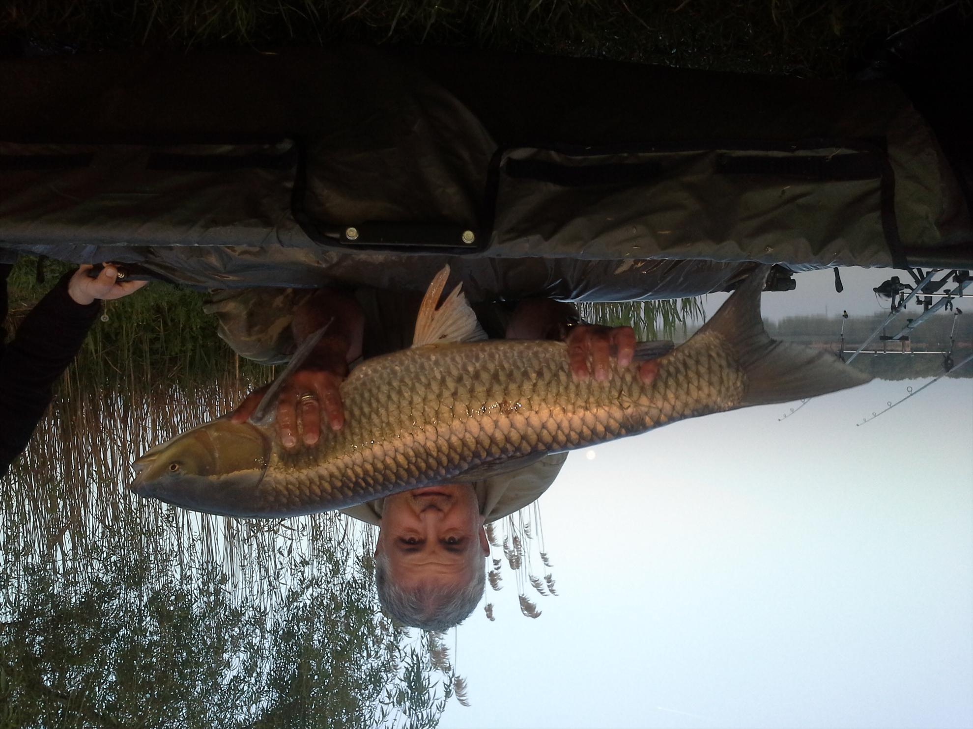 Pescuit la crap - 201304270621581.jpg